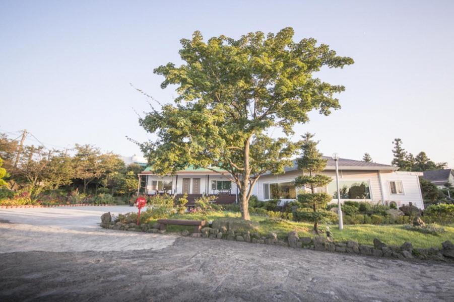 Sunyang Village Pension Jeju Exterior photo